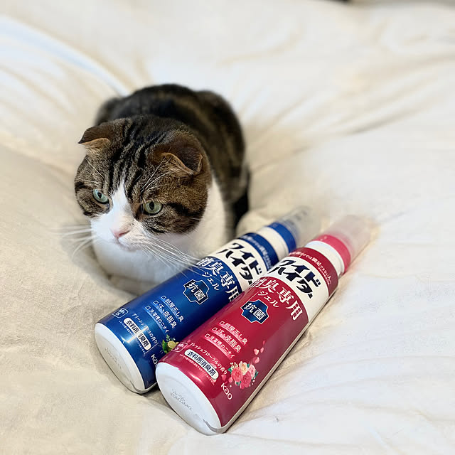 tansukeさんの実例写真