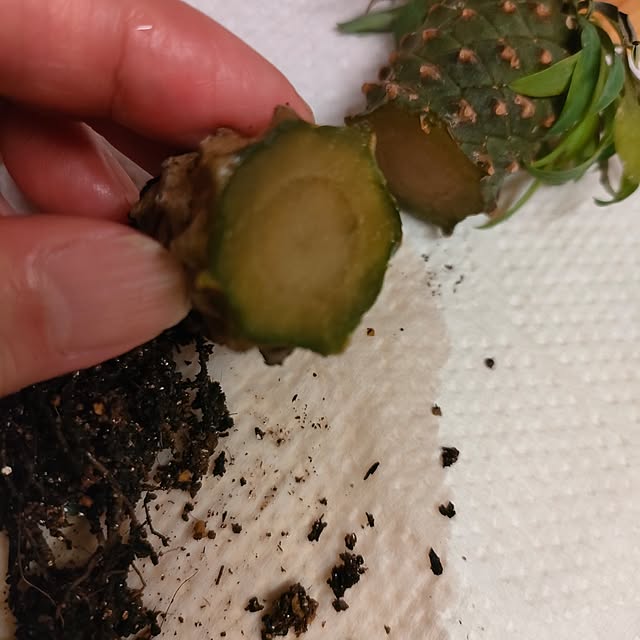 Yoko622さんの部屋