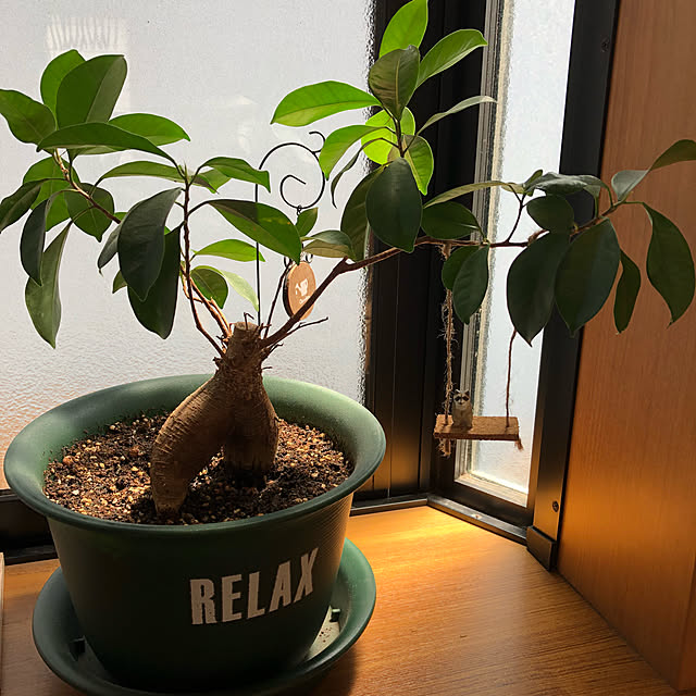 CoffeeHouseさんの実例写真