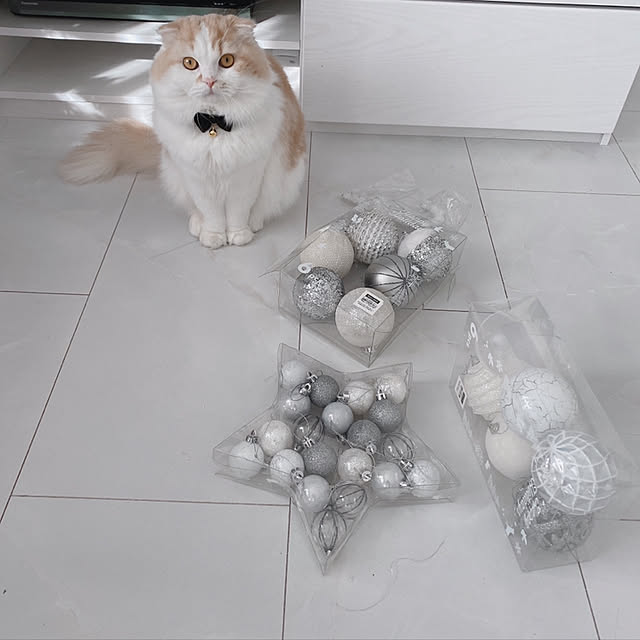 mamiriさんの実例写真