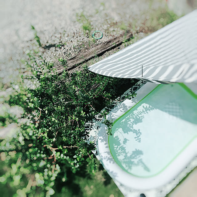 chamie203さんの実例写真