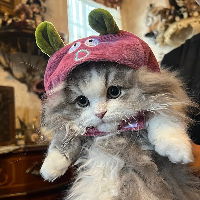 AYUKOさんの部屋