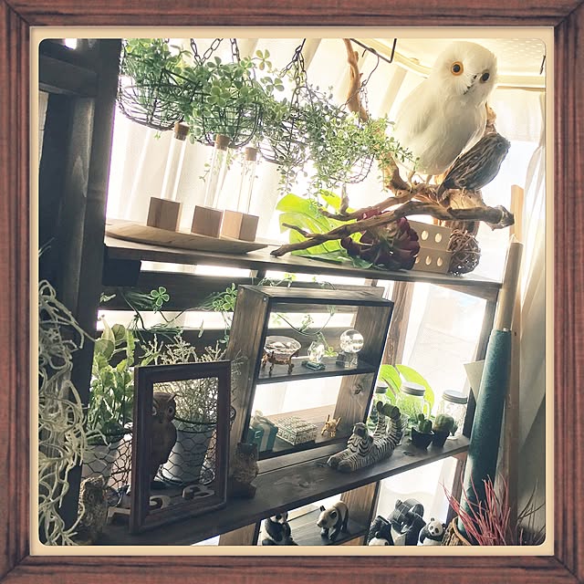 ainatsuさんの実例写真