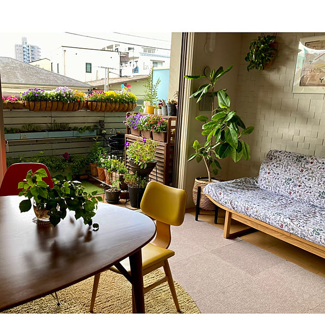 marukoさんの部屋