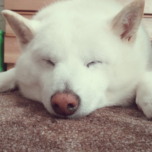 yukinkoさんの部屋