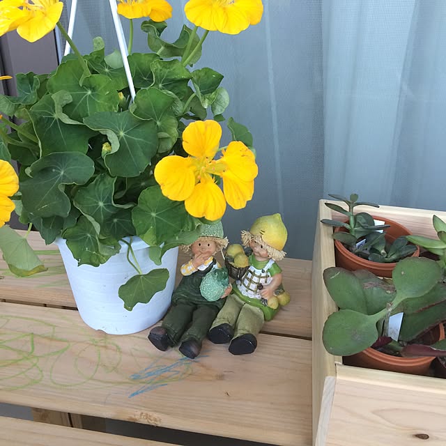 kanoさんの実例写真