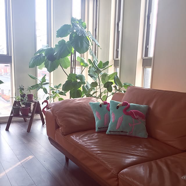 jagarikoさんの実例写真