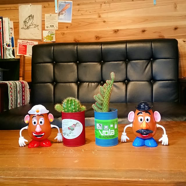 costajiniさんの実例写真