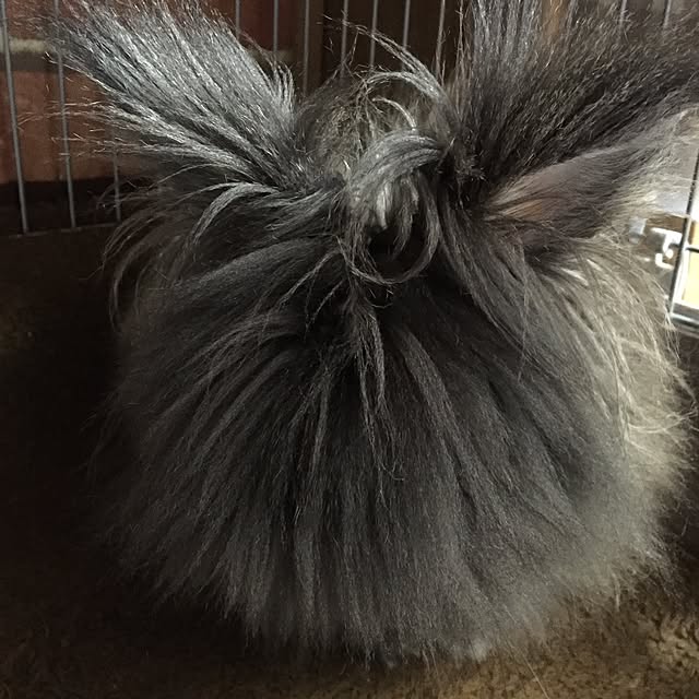 8717さんの実例写真