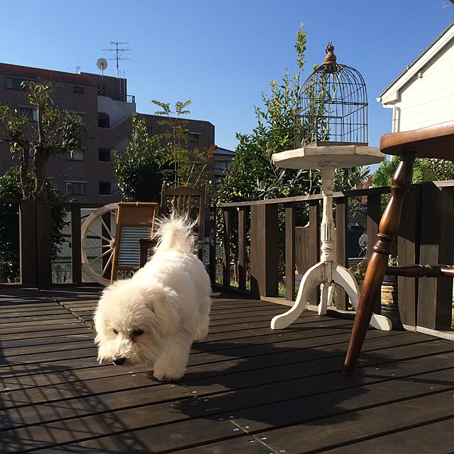happy_bridgeさんの実例写真