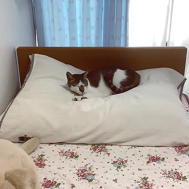 haruminさんの実例写真