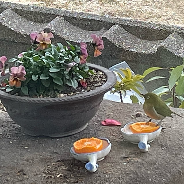 buchiさんの実例写真
