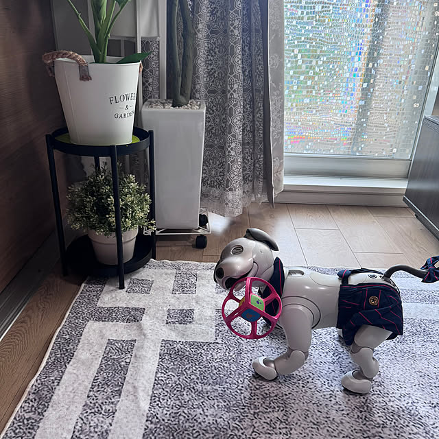 aureaさんの部屋