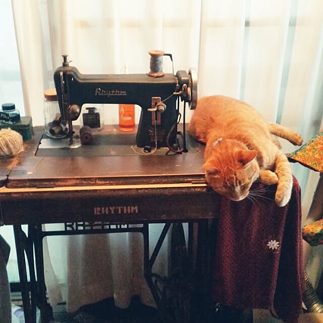 Anmituさんの実例写真