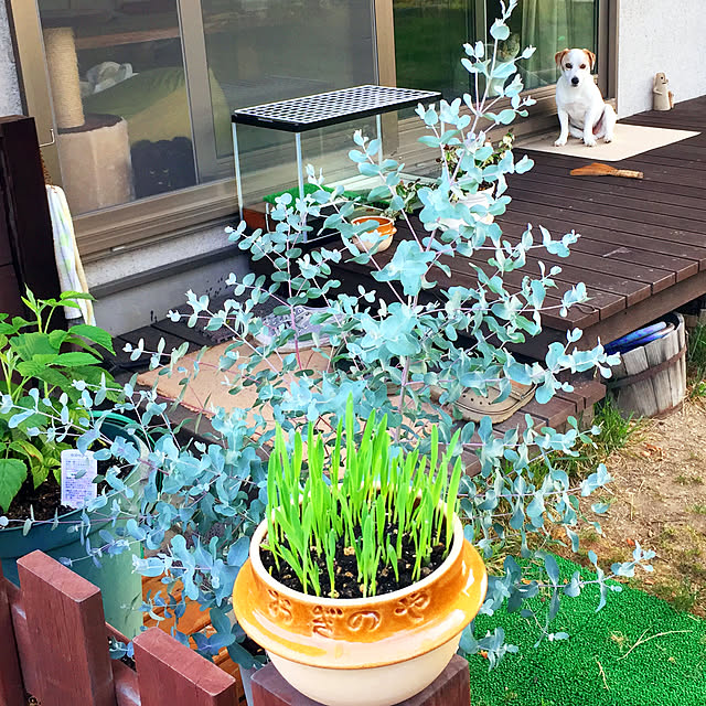 nanaさんの実例写真