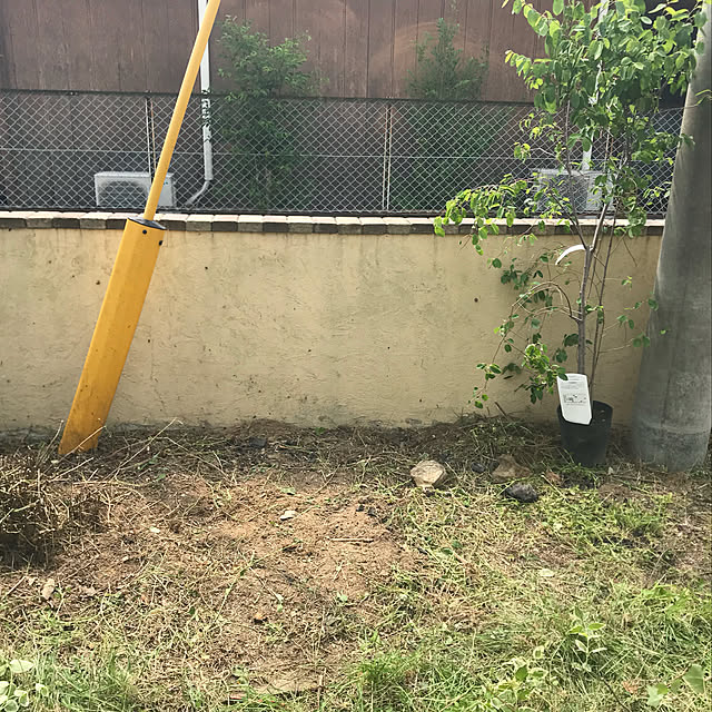 chiitanさんの実例写真