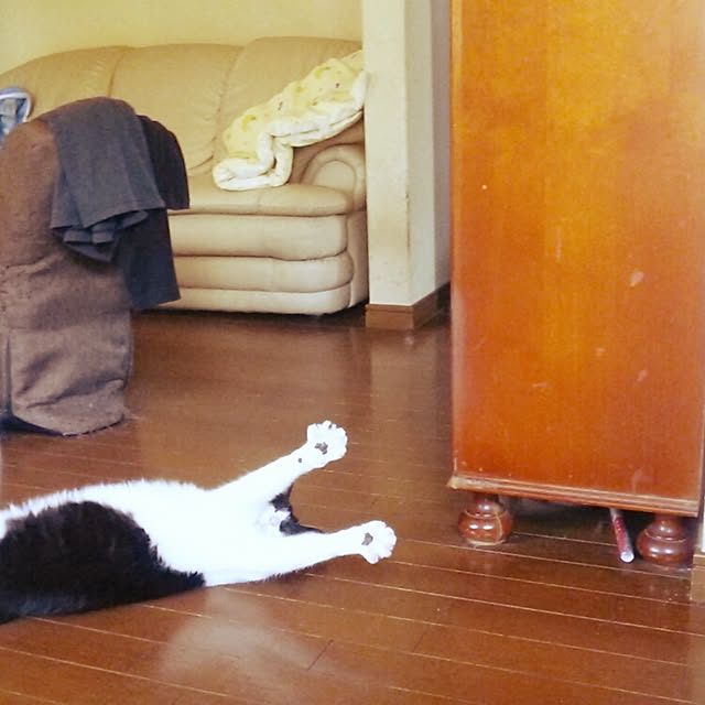 tomopさんの実例写真