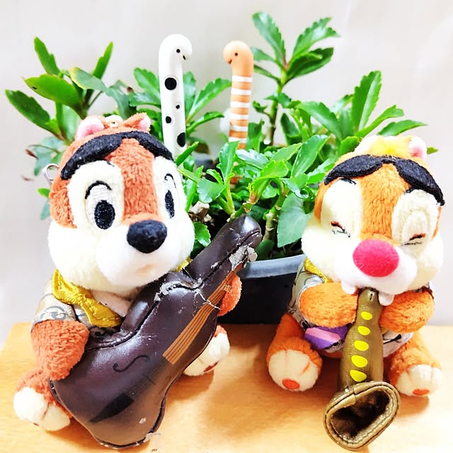 katさんの実例写真