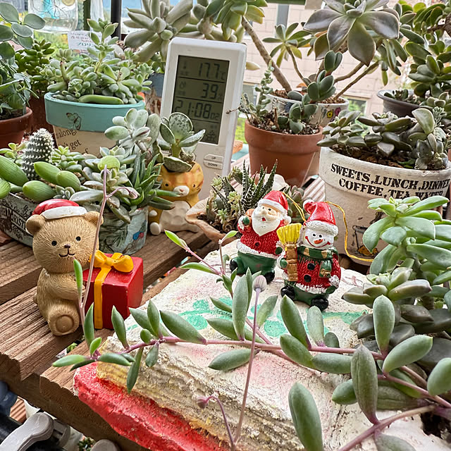 Aqettyさんの実例写真