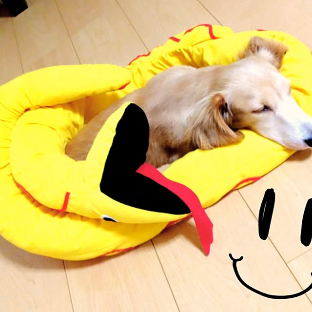 kaorin521さんの実例写真