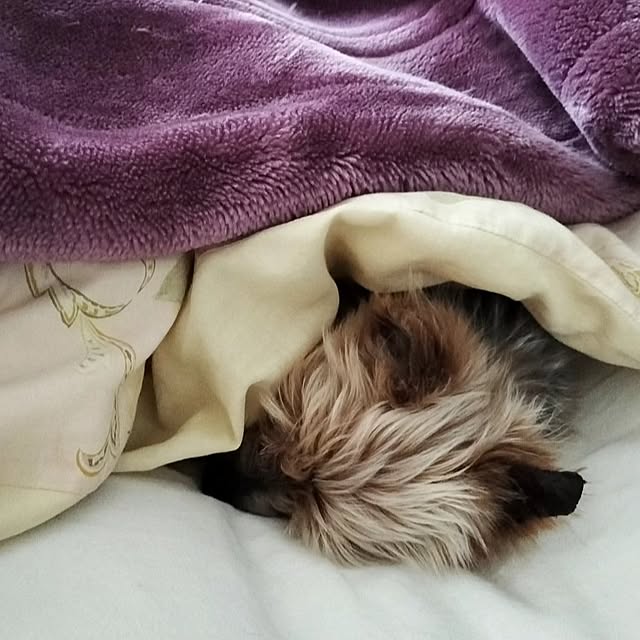 coco0.84.さんの部屋