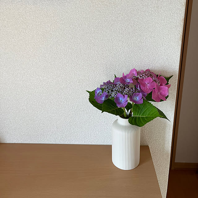 Karlyさんの実例写真