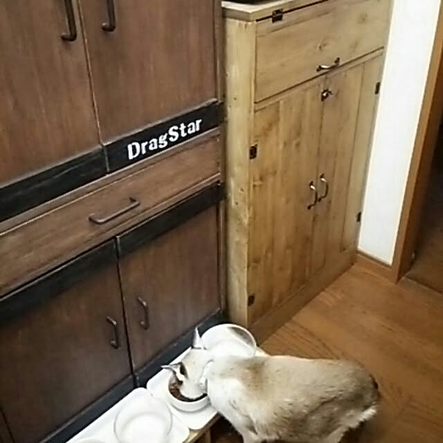 DS250さんの実例写真