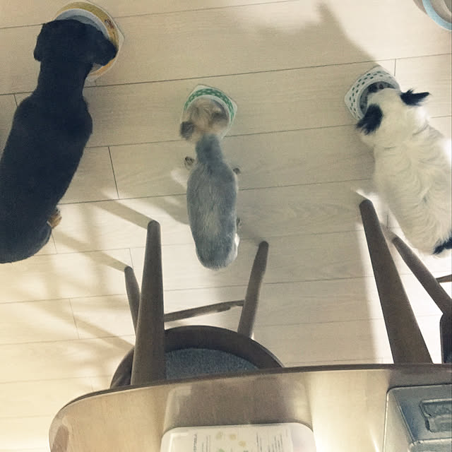 ohanaさんの実例写真