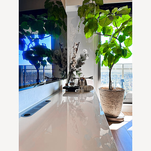 teracoyaWORLDさんの部屋