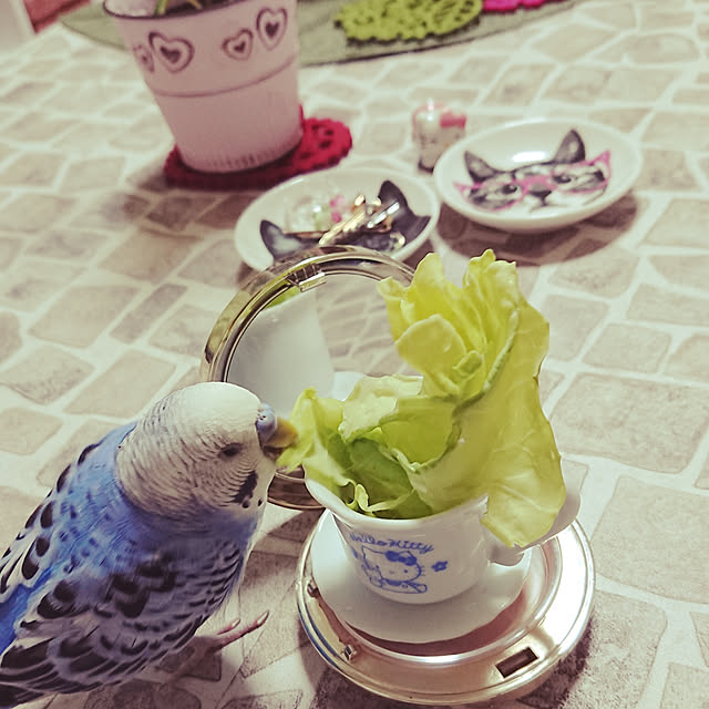 sueponさんの実例写真