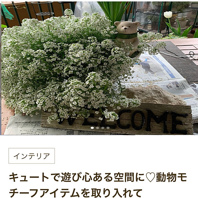 Aqettyさんの実例写真