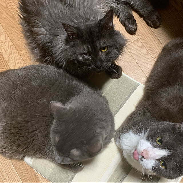 実例写真