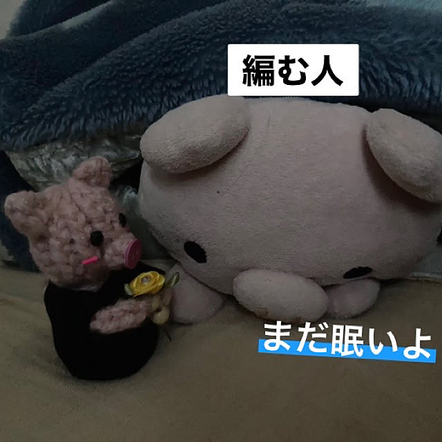 manduonmaさんの実例写真