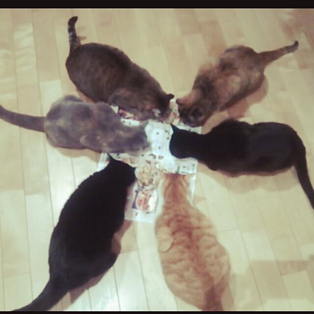k.namiさんの実例写真