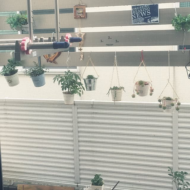 kaoriさんの実例写真
