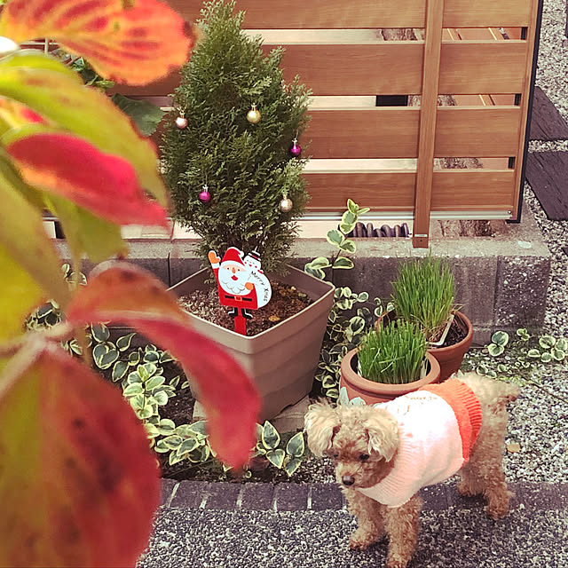 haruminさんの実例写真