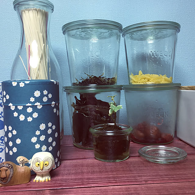 naokoさんの実例写真