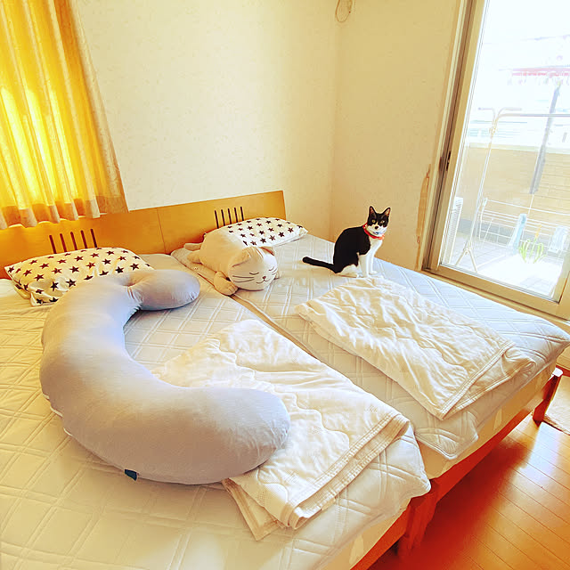 moolさんの実例写真