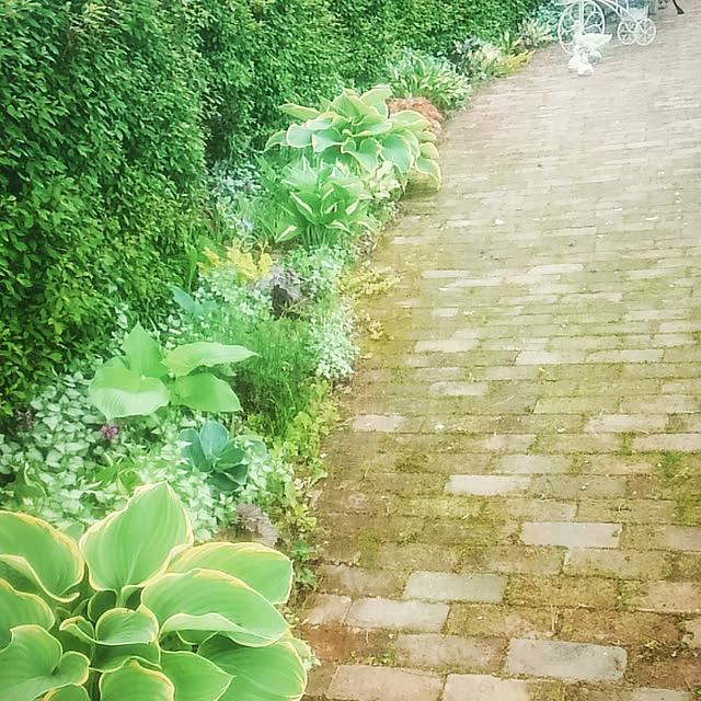 chi.e.ko.310310さんの実例写真