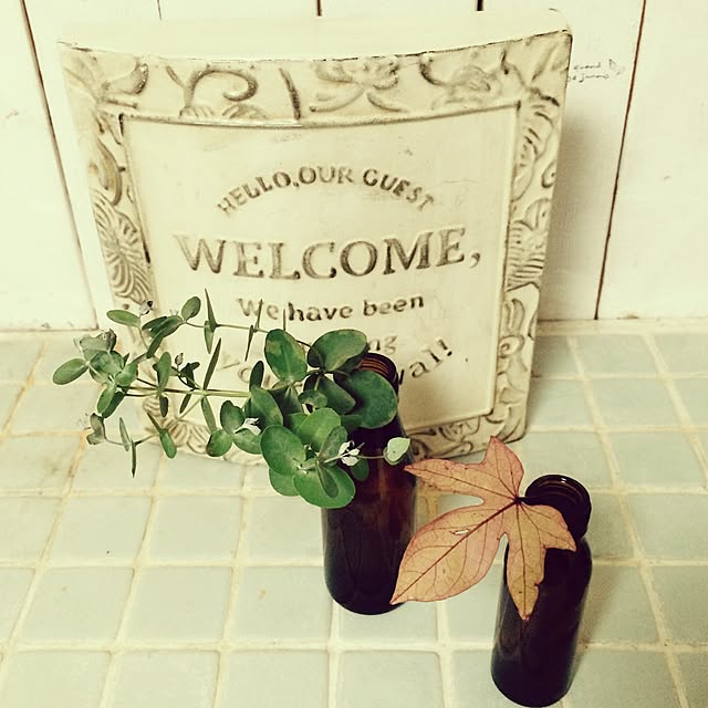 bikkeさんの実例写真