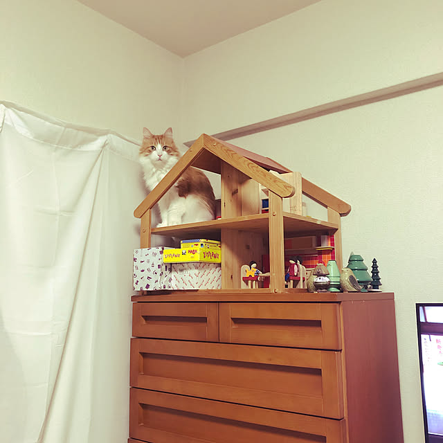 uchidaizuさんの実例写真