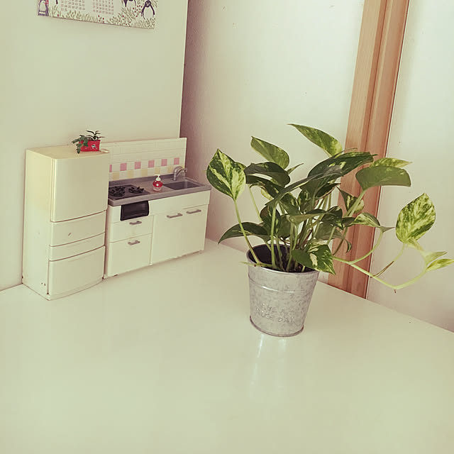 cocoさんの実例写真
