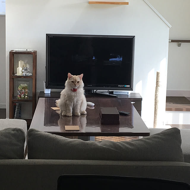 takiさんの実例写真