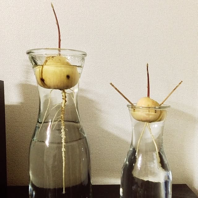 Takeさんの実例写真