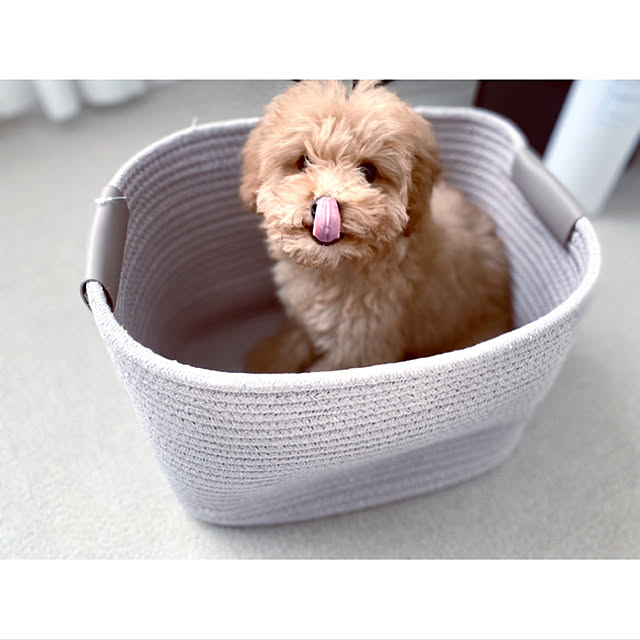 _rm_さんの実例写真
