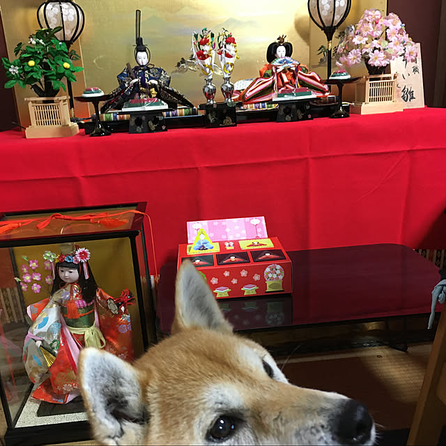 kyukoさんの実例写真