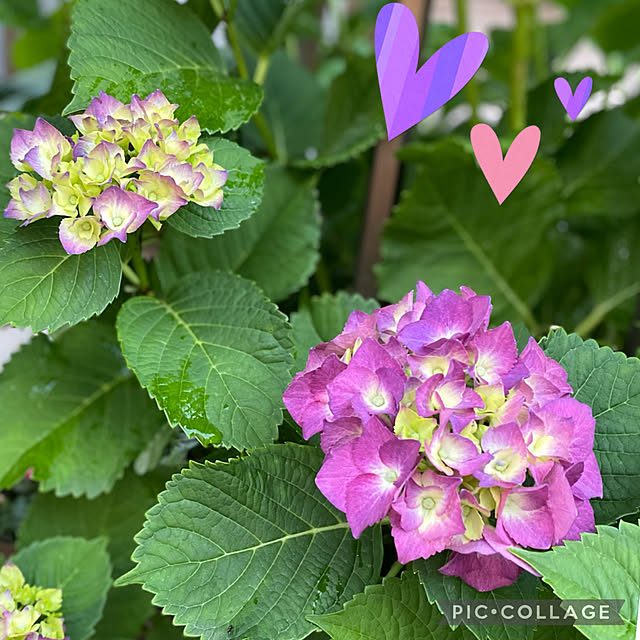 Smilkazuさんの実例写真