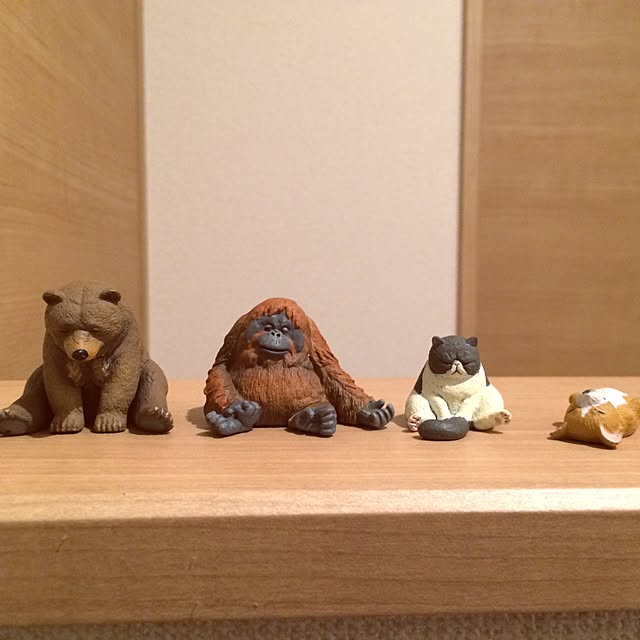 chocoさんの実例写真