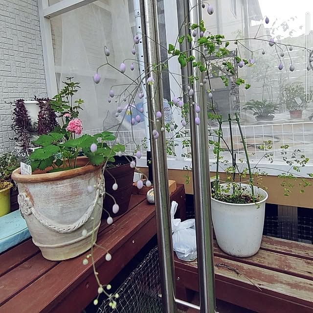 Bienvenueさんの部屋