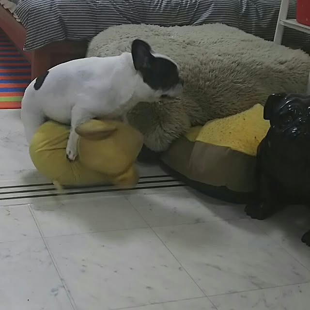 AandPさんの実例写真